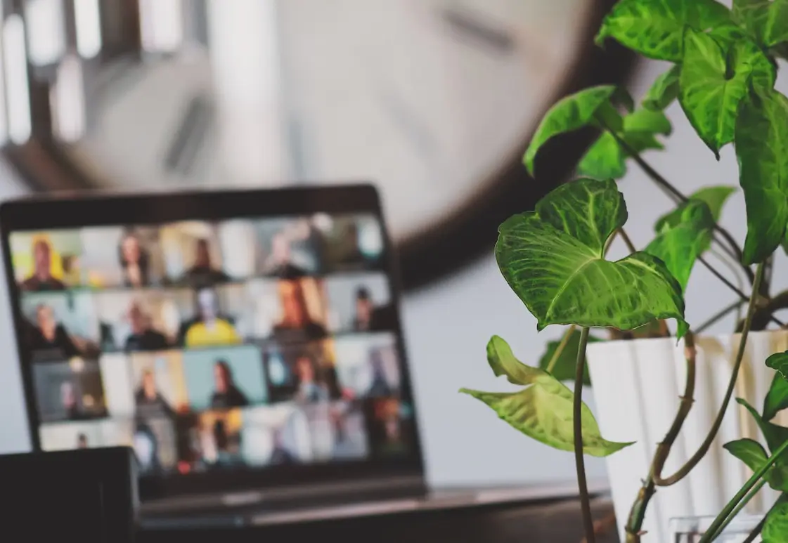 Sessione di consulenza online su sostenibilità ed ESG per imprese remote su strategia green e bilancio sostenibilità per PMI