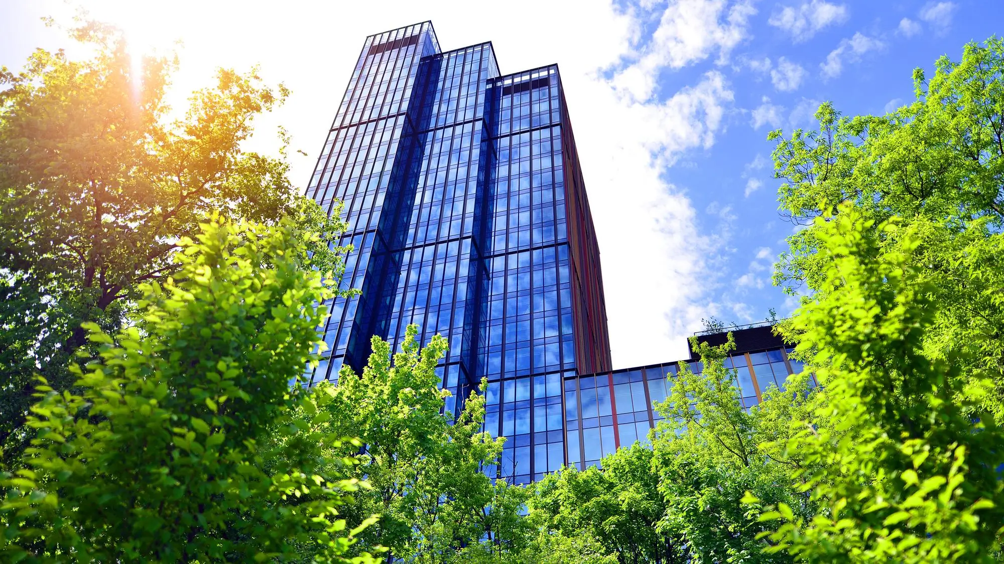 Edificio aziendale moderno con vetrate e alberi, simbolo di sostenibilità